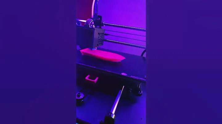 Anycubic Mega S Dual Setup