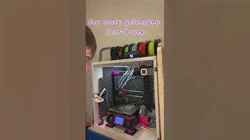 AnyCubic MegaS auf Multicolor umgebaut 🤩#3ddruck #3dprinting  #coprint3d #anycubic #multicolor